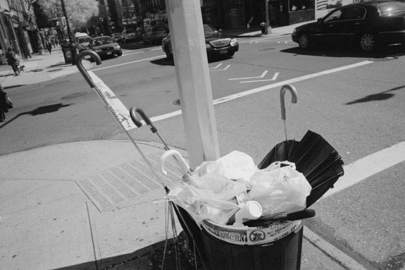 The morning after a thunderstorm