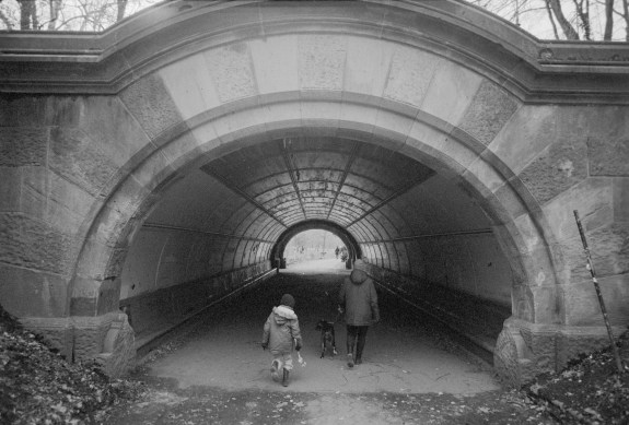 2016-0001 Happy New Year Bessa L 25mm Snapshot Skopar Protopan+ EI400